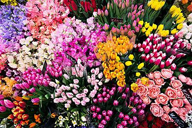 销售火爆 《宝可梦：晶灿钻石／明亮珍珠》连续3周登顶亚马逊游戏预约榜